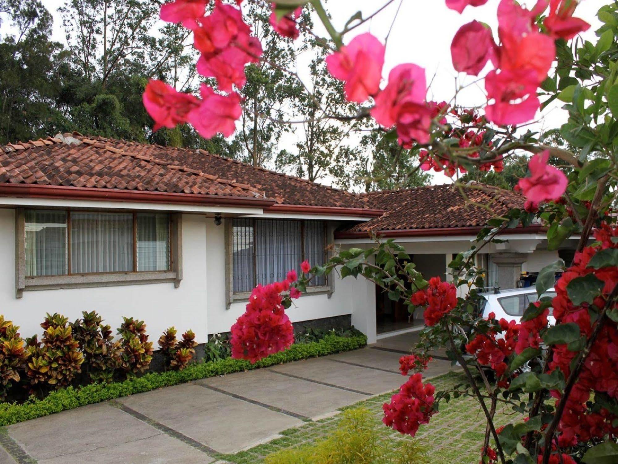 Terrazas De Golf Boutique Hotel San José Buitenkant foto